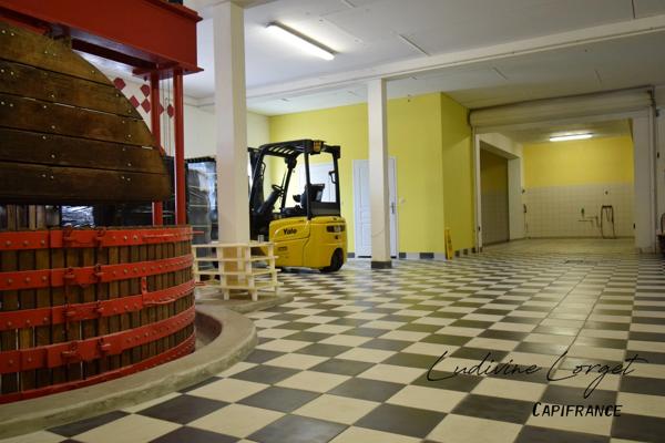 A vendre Local professionnel loué /bureau proche de EPERNAY (51)À vendre – Pressoir - cuverie -stockage -bureaux – 423m2