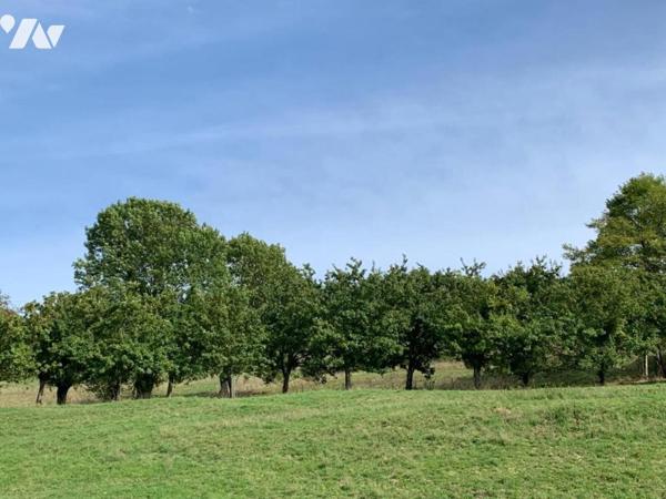 LISIEUX Nord Propriété 24ha Manoir 7 chambres, piscine, étang