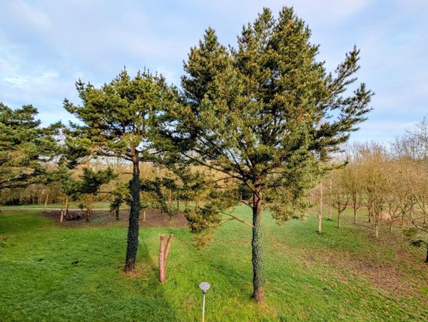 Dinan, 20 mn du littoral, T3 spacieux entièrement rénové