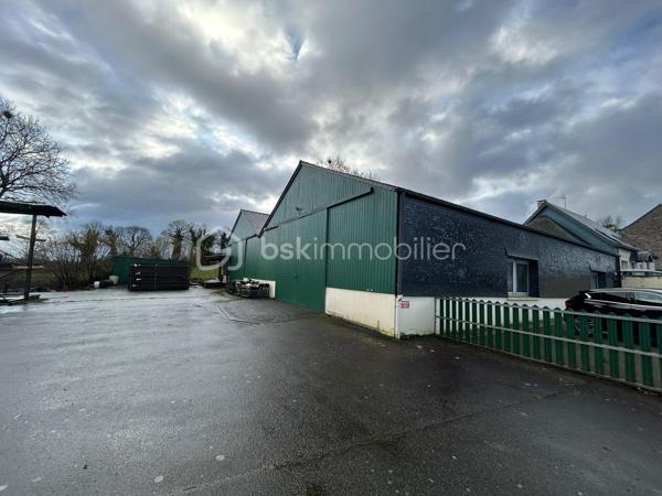 Idéalement situé entre Vitré, Ernée et Fougères, hangar en excellent état de 450 m² avec préau de 100 m², comprenant une salle de pause avec douche et wc. 
Belle hauteur de porte de 3,80m 
Terrain entièrement clos de 2380 m²  comprenant une partie goudronnée de 750 m² et terrain en herbe de 1000 m² (parcelle constructible de 558 m²)