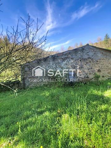 Charmante maison en pierres avec grand jardin