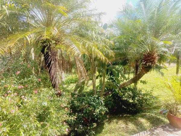 Maison à vendre 4 pièces LAMENTIN (971)