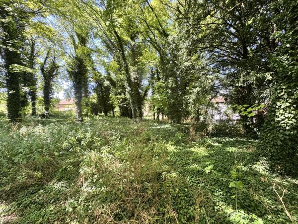 Terrain
        
        - 1922 m² Exclusivité 137 500 € *