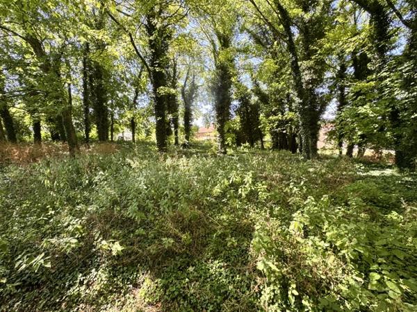 Terrain
        
        - 1922 m² Exclusivité 137 500 € *