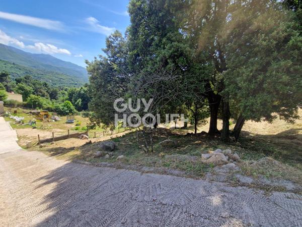 Terrain Vero 1204 m2