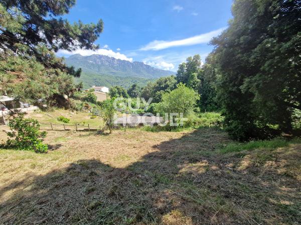 Terrain Vero 1204 m2