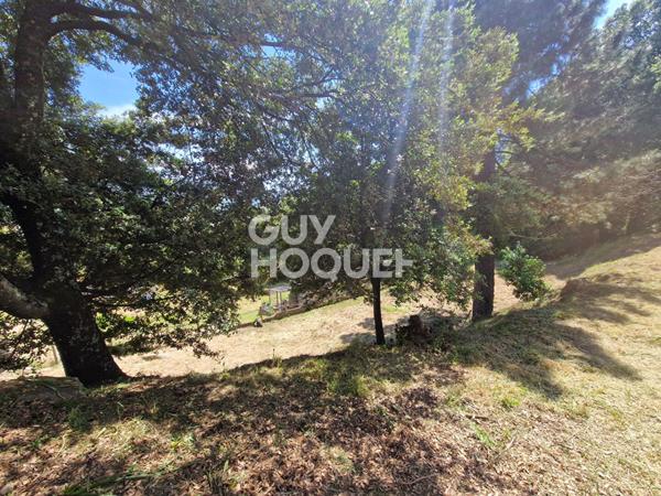 Terrain Vero 1204 m2