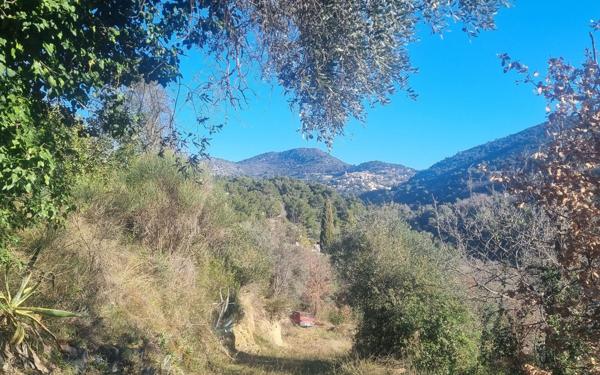 Terrain à vendre    Aspremont