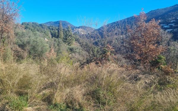 Terrain à vendre    Aspremont