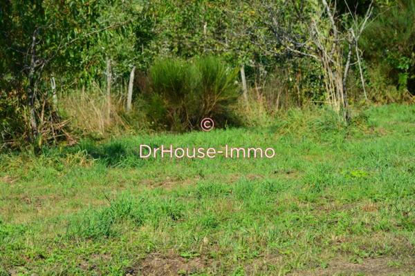 Terrain à vendre de 1 590 m²