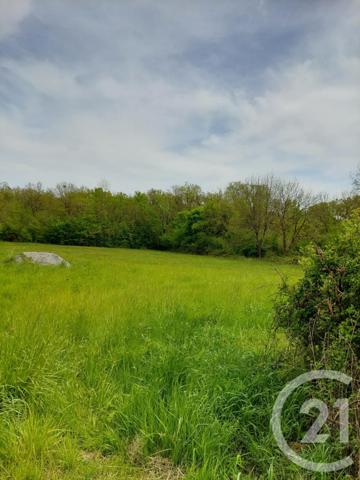 Terrain à vendre  9522 m2 NEUILLAY LES BOIS - 36