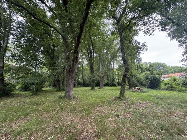 Le Murmure du Jardin sous un Ciel de Sérénité
