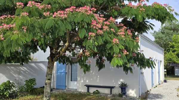 MAISON DE PLAIN PIED Saint-Palais-sur-Mer (17420)