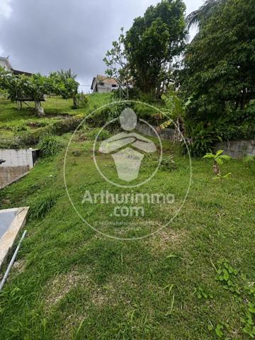 Vente                                                      Villa
                        
                     4 pièces                      132 m2                     à Ducos