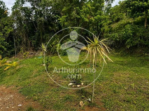 Vente                                                      Villa
                        
                     4 pièces                      132 m2                     à Ducos