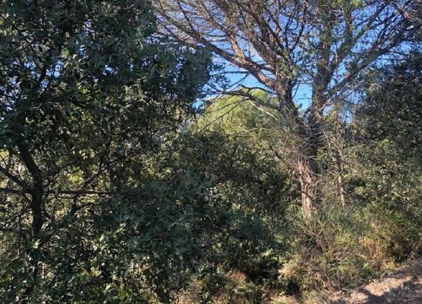 Terrain à vendre    Montségur-sur-Lauzon