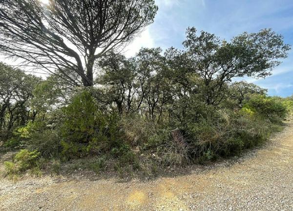 Terrain à vendre    Montségur-sur-Lauzon