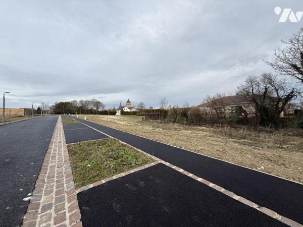 EXCLUSIVITE - LAVANNES- Lotissement LA GROTTE- 7 parcelles viabilisées de 500m² à 1122m²