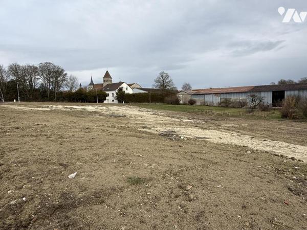 EXCLUSIVITE - LAVANNES- Lotissement LA GROTTE- 7 parcelles viabilisées de 500m² à 1122m²