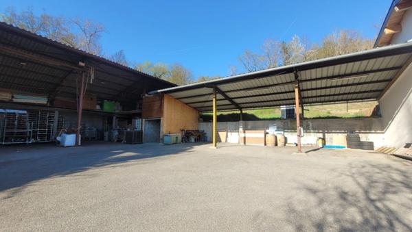 Propriété agricole avec habitation contemporaine