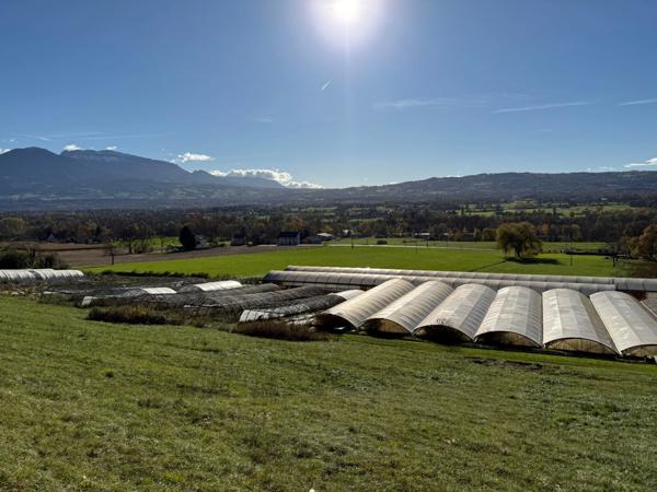 Propriété agricole avec habitation contemporaine