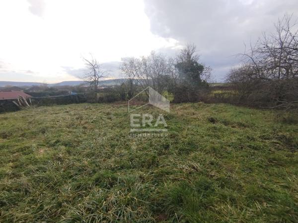 Local commercial Pusey 1815 m2