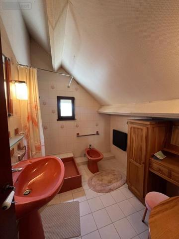 Maison à vendre à Pannes dans le Loiret (45700), ref : 45051-436