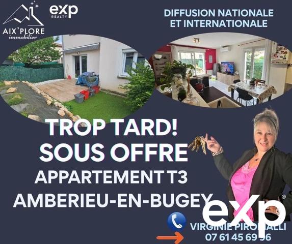 T3 AVEC GARAGE ET EXTERIEUR