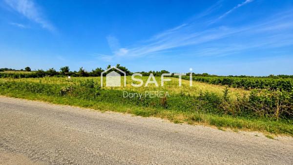 Terrain agricole de 4304m2