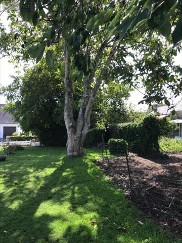 Terrain à Batir à vendre à Merlevenez dans le Morbihan (56700), ref : 1880-2