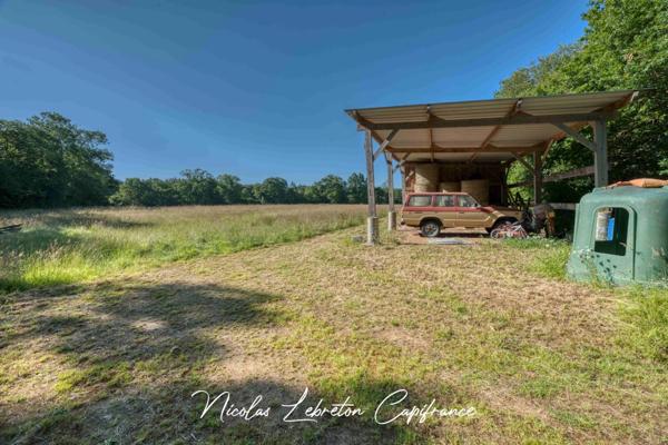Grande villa équestre sur 12,5 hectares