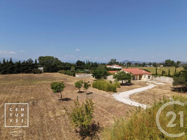 Maison à vendre  5 pièces - 161 m 2   TOULOUGES  - 66