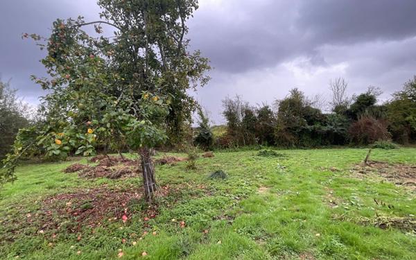 Maison à vendre    4 pièces • 140,04 m2 Saint-Paul-du-Vernay