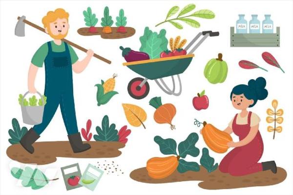 Situées sur la Plaine D'Ay, Parcelles de jardin d'une surface totale de 1332m². 