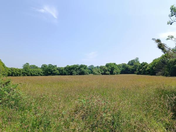 29390 Leuhan maison de 80 m² 2 chambres beau salon séjour dépendance et 1.1 hectare