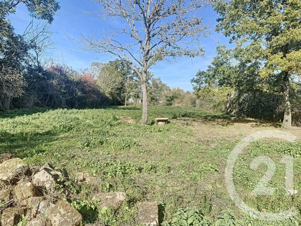 Terrain à vendre  3031 m 2   LE MONTET  - 03