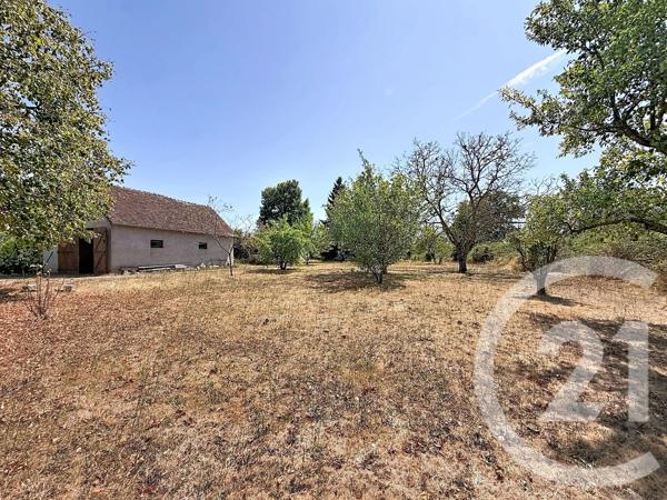 Terrain à vendre  3031 m 2   LE MONTET  - 03