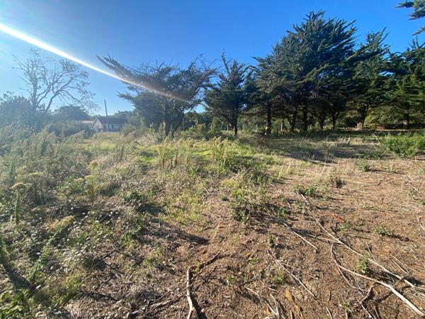 Terrain sur les Hauteurs de Barbâtre