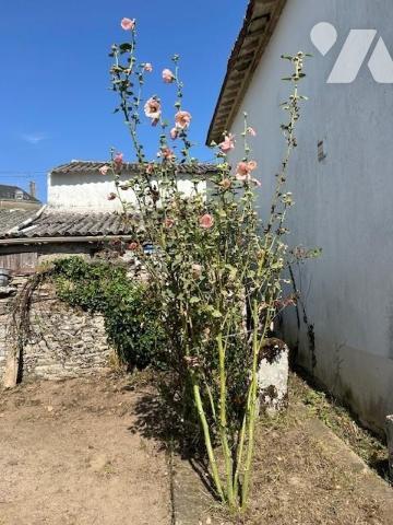 SSAINT ETIENNE DE MONTLUC - Maison à rénover (116 m²) avec nombreuses annexes.