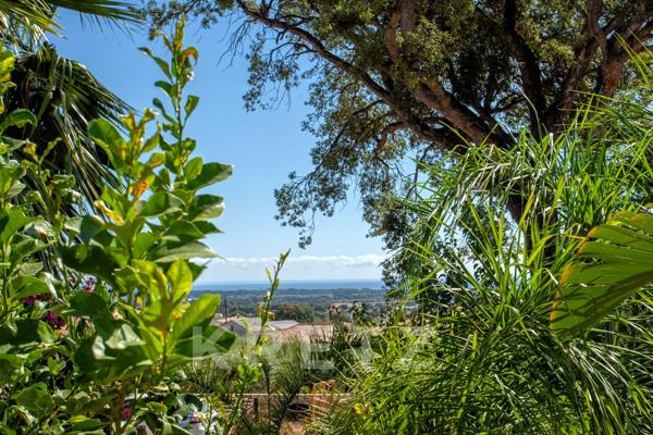 Maison d'architecte avec piscine et vue mer