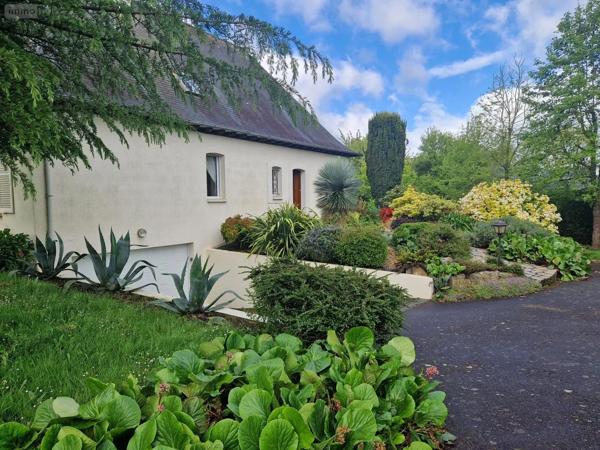 Location - Maison Châteaugiron 35410 5 pièces 134 m 2 1950 m 2