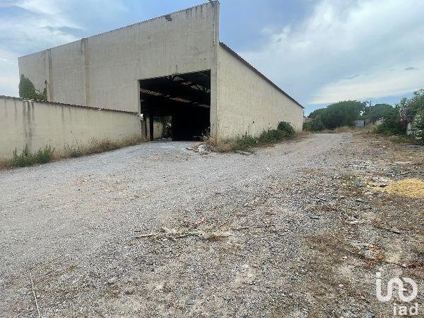 Hangar à vendre 560 m² Béziers