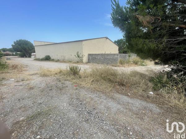 Hangar à vendre 560 m² Béziers