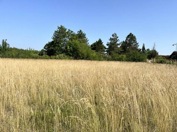 Terrain à vendre |  Lalbenque |  838 m²