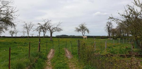 Achat - Terrain à bâtir | Terrain à bâtir Callengeville 76270 250 m 2 1681 m 2