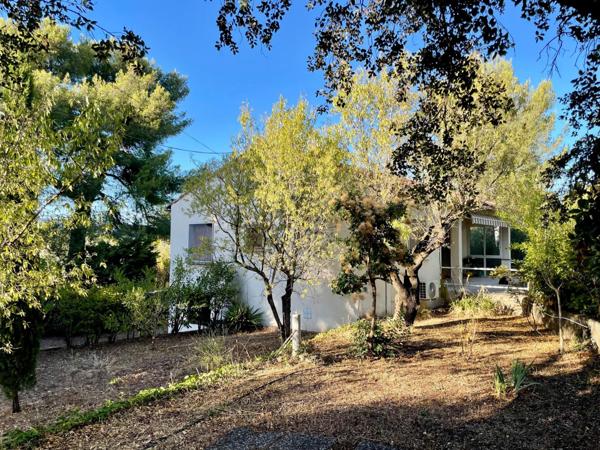 Superbe environnement pour cette maison traditionnelle.