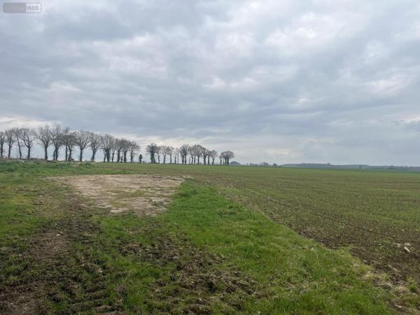 Terrain à Batir à vendre à Taupont dans le Morbihan (56800), ref : VT135-56044