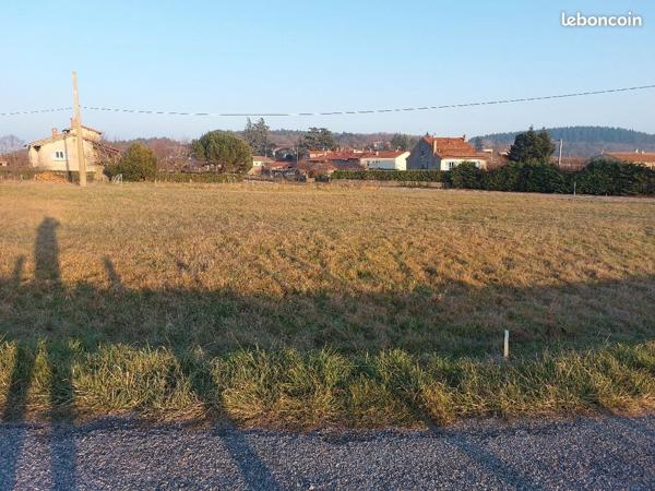 Terrain - 726 m²