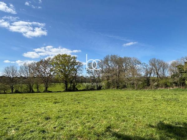 BERRIC Terrain 15736 m²