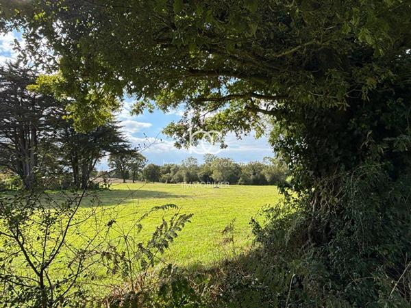 BERRIC Terrain 15736 m²